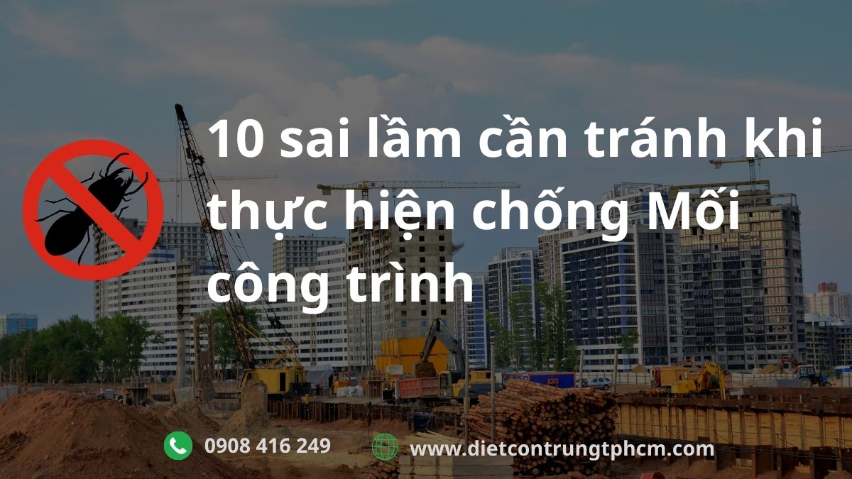 Sai lầm cần tránh khi thực hiện chống mối công trình