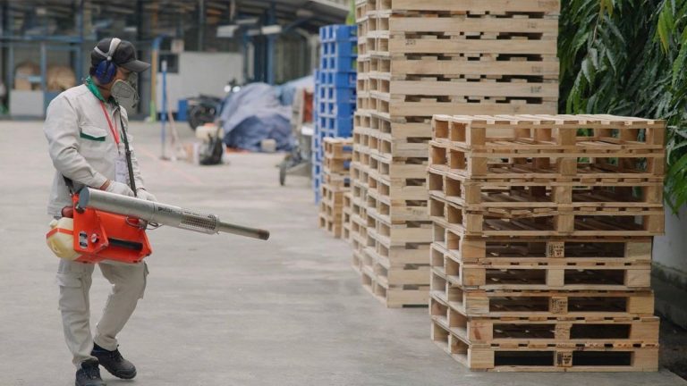 Kiểm soát côn trùng tại khu vực pallet gỗ và logistics – điểm trung chuyển có nguy cơ mang dịch hại vào nhà máy.