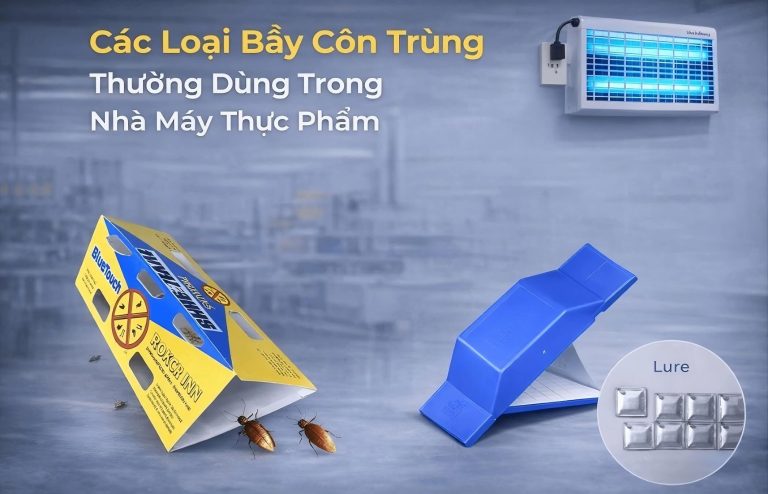 Các loại bẫy côn trùng thường gặp trong nhà máy thực phẩm