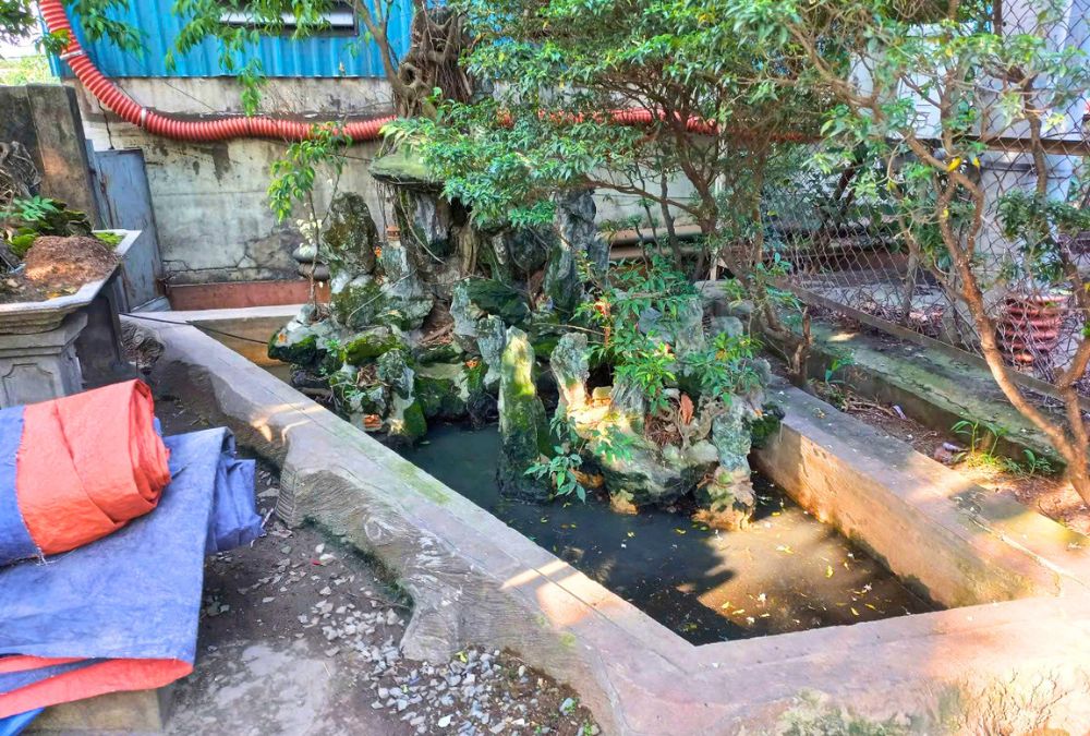 Khu vực nước động trong khuôn viên nhà máy là điểm cần rà soát khi mùa mưa bắt đầu