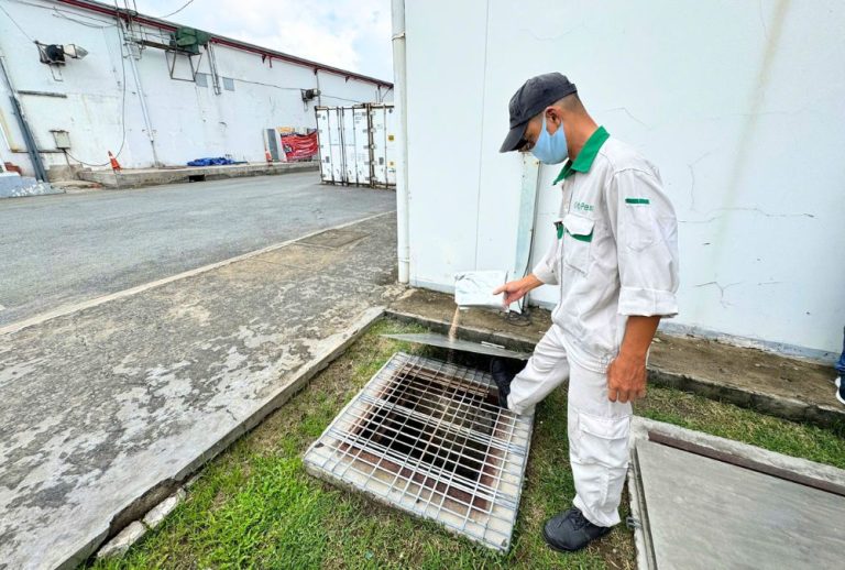 Kỹ thuật viên CityPest xử lý cống rãnh để ngăn nguồn phát sinh muỗi trong mùa mưa