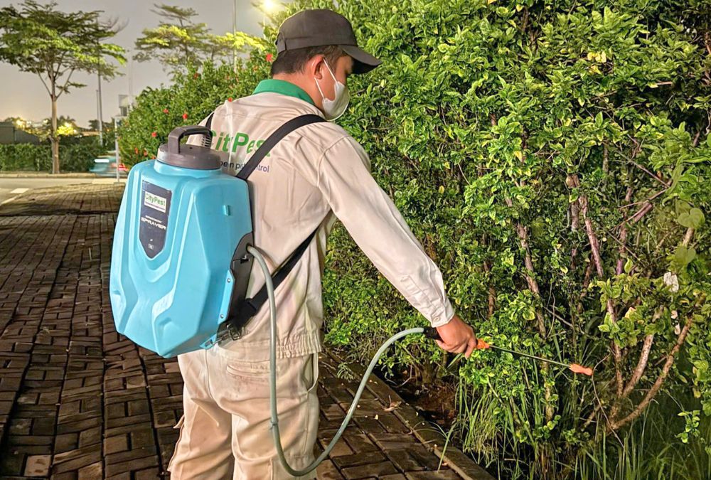 Kỹ thuật viên CityPest xử lý khu cây xanh ngoại vi để giảm rủi ro côn trùng mùa mưa trong nhà máy